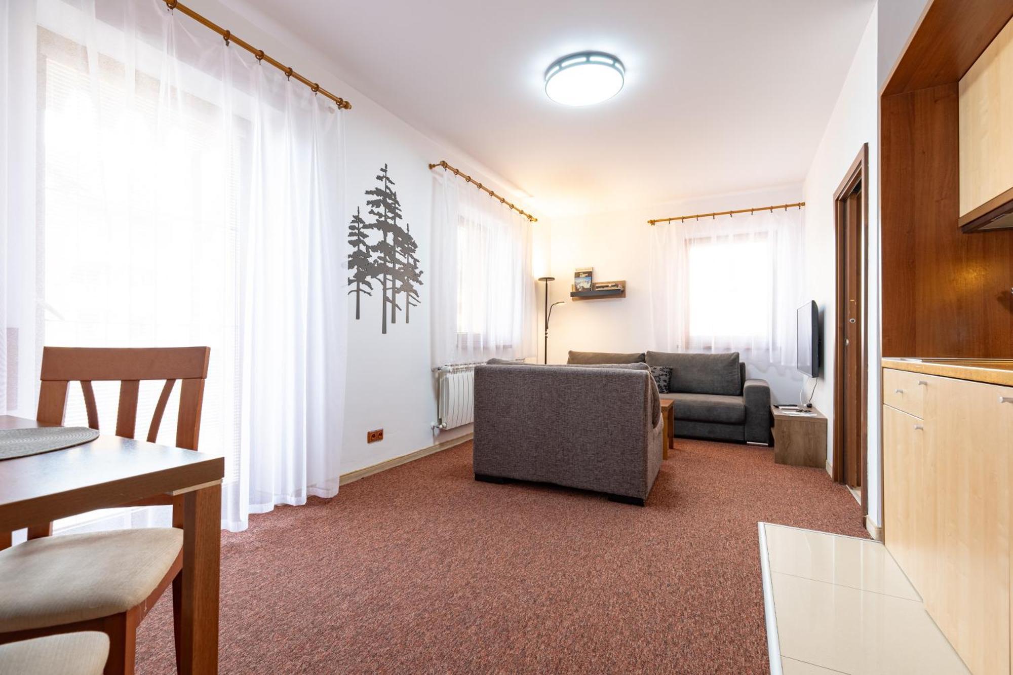 Family & Friends Apartment ヴェルカー・ロムニツァ エクステリア 写真